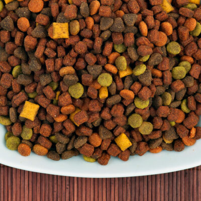 4 Brands Best Known for High-Protein Dog Foods