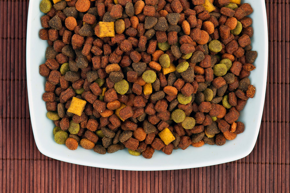 4 Brands Best Known for High-Protein Dog Foods