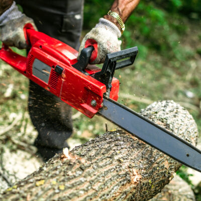 5 Time Savings Yardwork Tools