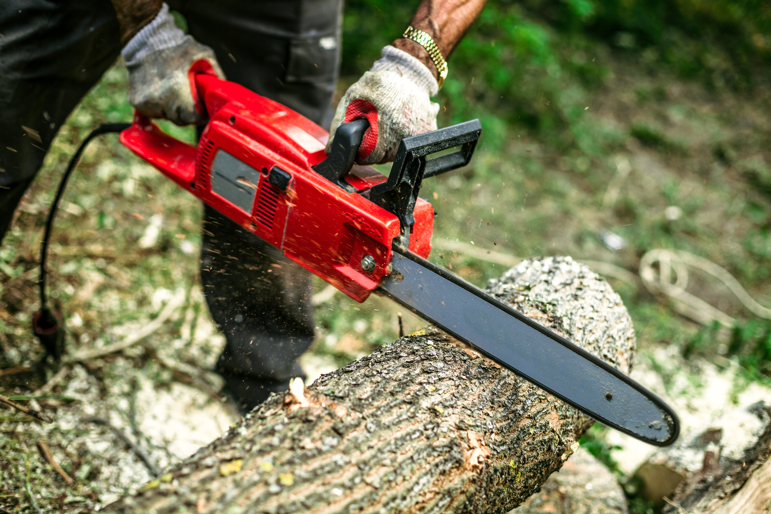 5 Time Savings Yardwork Tools